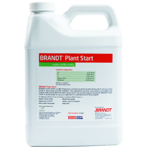 BRANDT Plant Start