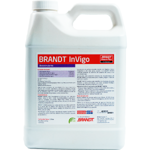 BRANDT Invigo